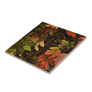 RIJKE, AARDETINTEN KLEUREN / HERFSTBLADEREN / GRAV TEGELTJE