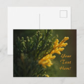 Rijke groene warme gele plant foto ansichtkaart briefkaart (Voorkant / Achterkant)