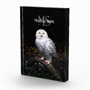 Rijkswintersnuffeluil (monogram) fotoblokken