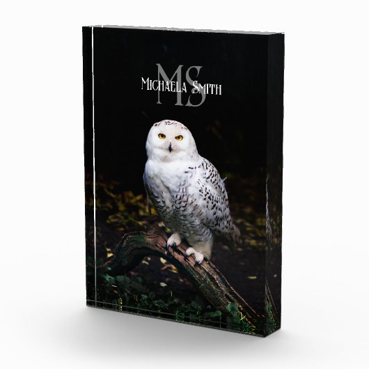 Rijkswintersnuffeluil (monogram) fotoblokken (Rechts)