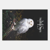 Rijkswintersnuffeluil (monogram) inpakpapier vel (Voorkant 3)