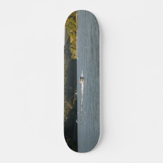 Rijn Skateboard (Voorkant)