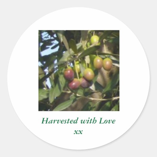 Rijpe olijven ronde sticker (Voorkant)