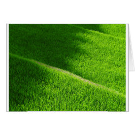 Rijst Terraces Yamada's rijstvelden Japan