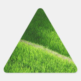 Rijst Terraces Yamada's rijstvelden Japan Driehoek Sticker