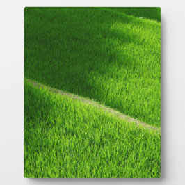 Rijst Terraces Yamada's rijstvelden Japan Fotoplaat