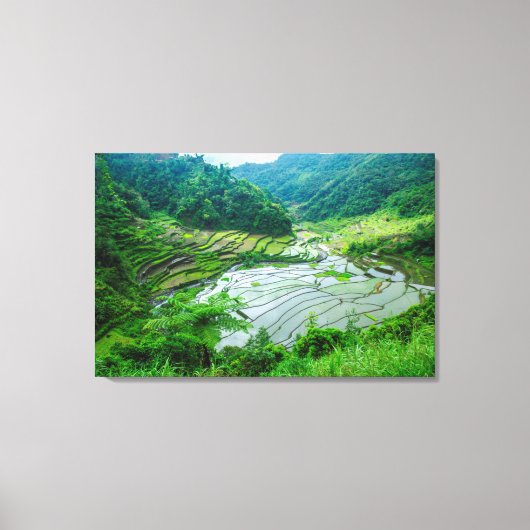 Rijst terraslandschap, Filipijnen Canvas Afdruk (Voorkant)