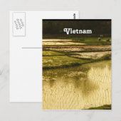Rijstpadie Briefkaart (Voorkant / Achterkant)