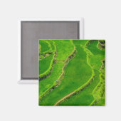 Rijstterrassen Magneet (Voorkant / Achterkant)