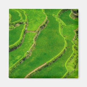 Rijstterrassen Magneet