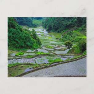 Rijstterrassen van Banaue, Luzon Briefkaart