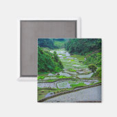 Rijstterrassen van Banaue, Luzon Magneet (Voorkant / Achterkant)