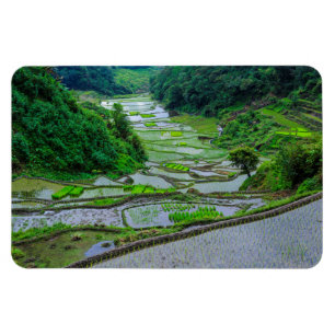 Rijstterrassen van Banaue, Luzon Magneet