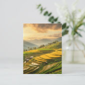 Rijstterrassen Zonsopgang Briefkaart (Staand voorkant)
