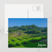 rijstveld in Japan Briefkaart (Voorkant / Achterkant)