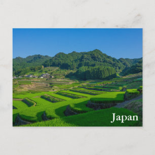 rijstveld in Japan Briefkaart
