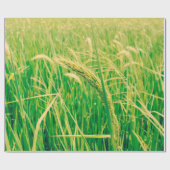 Rijstveld op het platteland en verse,  styleabstr cadeaupapier (Vlak)