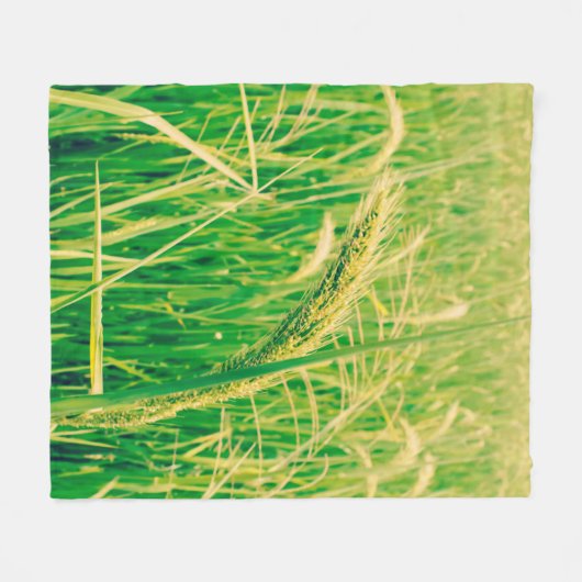 Rijstveld op het platteland en verse,  styleabstr fleece deken (Voorkant (Horizontaal))