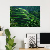 Rijstvelden Bali Indonesia Poster (Thuiskantoor)