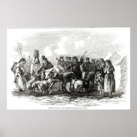 Rijvee voor huur poster (Voorkant)