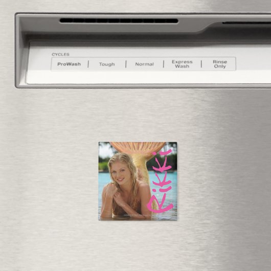 Rikki Magneet (Insitu (Vaatwasser))