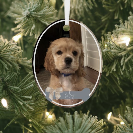 Riley Custom Pet Photo Ornement de Noël (Insitu)