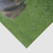 Riley Tissuepapier (Detail)