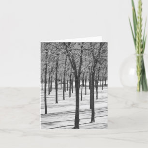 Rime dans les arbres Carte de vœux d'hiver