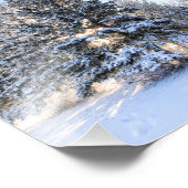 Rime Frost in Yorkton SK Foto Afdruk (Hoek)