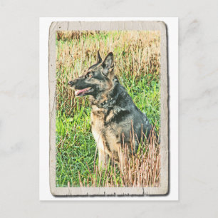 Rin Tin Tin tribute briefkaart