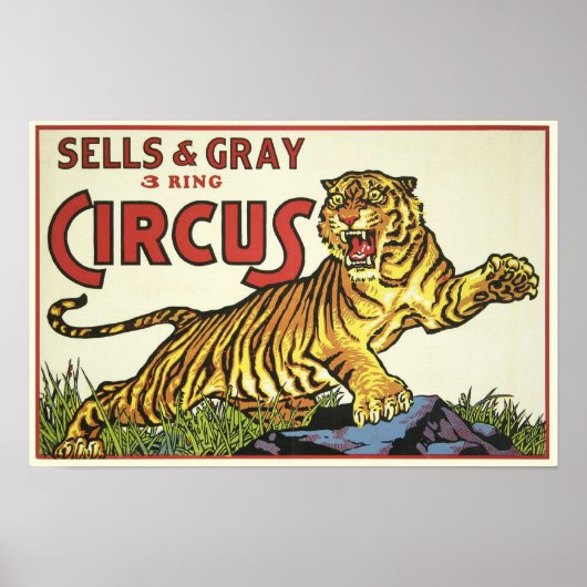 Ring Circus - rond 1930 Poster (Voorkant)