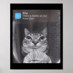 Ring Er is beweging bij uw voordeur grappige meme Poster