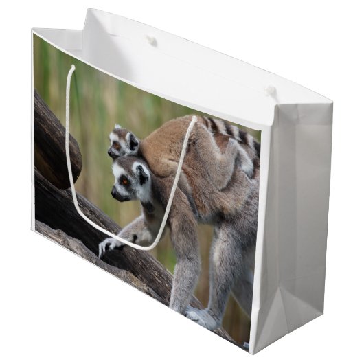 Ring-getrainde Lemur-moeder en -Baby Groot Cadeauzakje (Voorkant Gekanteld)