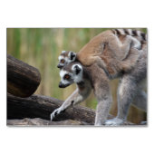 Ring-getrainde Lemur moeder en Baby Kaart (Voorkant)