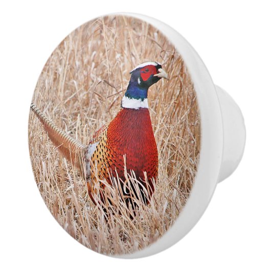 Ring-hals fazant aangepaste keramische knop (Rechts)