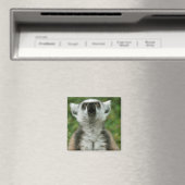 Ring-Knipper Lemur Magneet (Insitu (Vaatwasser))