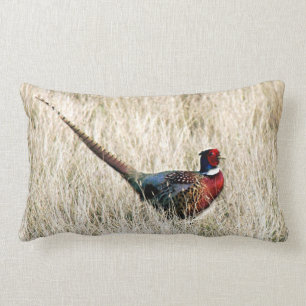 Ring Neck Pheasant in Meadow Kussen
