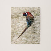 Ring Neck Pheasant in Meadow Legpuzzel (Verticaal)