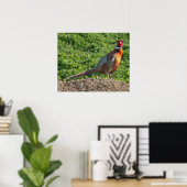 Ring Neck Pheasant Poster (Thuiskantoor)