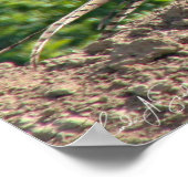 Ring Neck Pheasant Poster (Hoek)