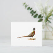 Ring-necked fazant briefkaart (Staand voorkant)
