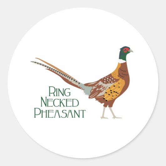 Ring Necked Pheasant Ronde Sticker (Voorkant)