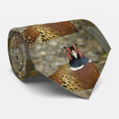 Ring Necked Pheasant Stropdas (Opgerold)