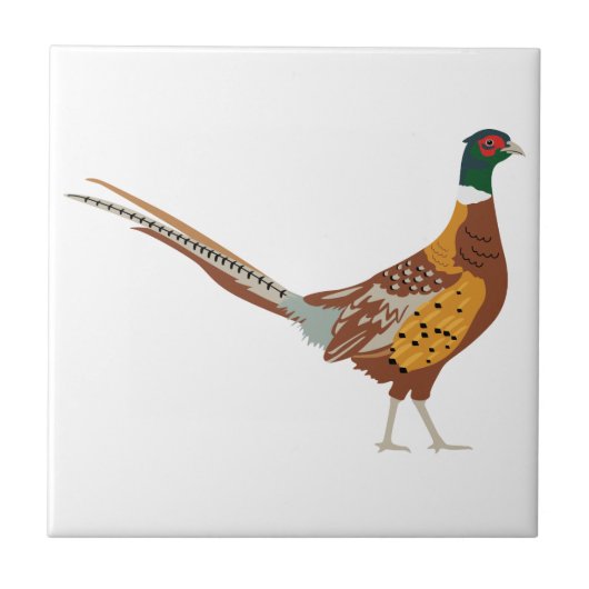 Ring-Necked Pheasant Tegeltje (Voorkant)