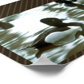 Ring Necked Poster (Hoek)