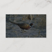 Ring-nekfazant Visitekaartje (Achterkant)