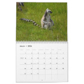 Ring Tail Lemurs Agenda 2016 Kalender (Mar 2026)