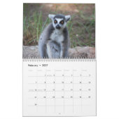 Ring Tail Lemurs Agenda 2016 Kalender (Feb 2027)