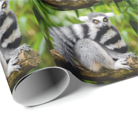 Ring-tailed lemur cadeaupapier (Rol Hoek)