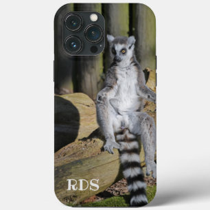 Ring Tailed Lemur Drusillas Park iPhone 13 Pro Max Hoesje